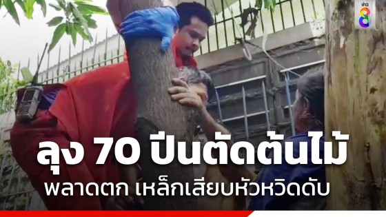 ลุงวัย 70 ปี ปีนตัดต้นมะม่วงยื่นล้ำรั้วเพื่อนบ้าน พลาดลื่นตกใส่กำแพง เหล็กแหลมเสียบหัวหวิดดับ