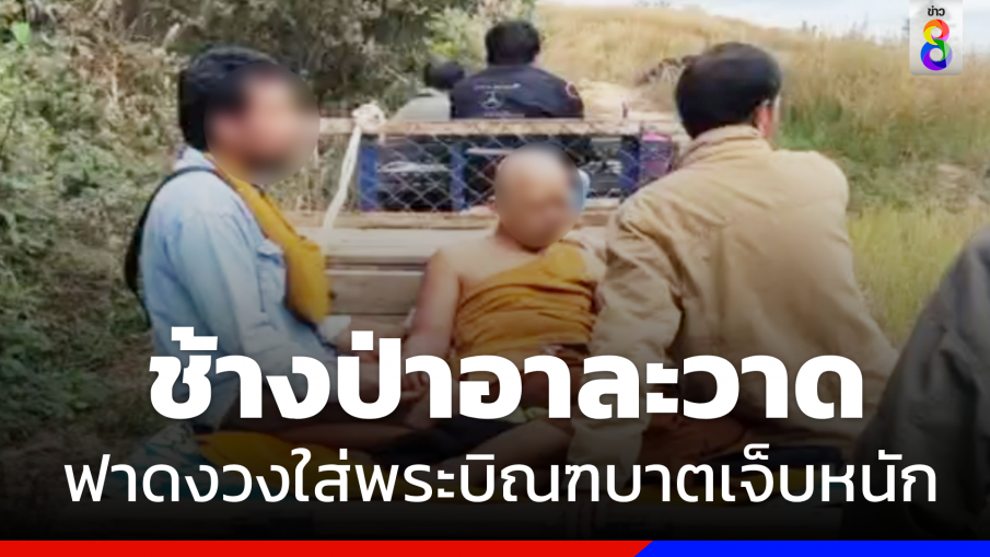 อาละวาด "ช้างป่าภูหลวง" ฟาดงวงใส่ "พระ" กลับจากบิณฑบาตเจ็บหนัก 