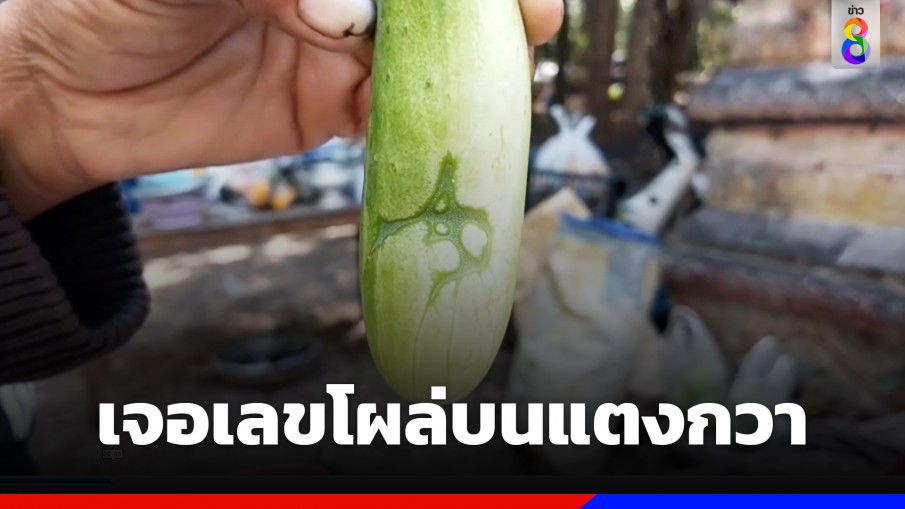 ชาวบ้านร่วมงานบุญ ที่วัดป่าพุทธนิมิตร จ.สุรินทร์ เจอเลขโผล่บนแตงกวา