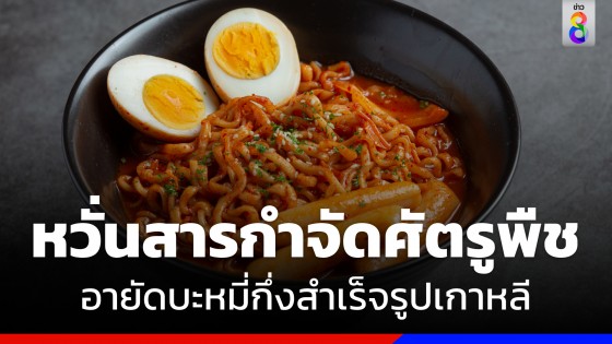 "อย." อายัด "บะหมี่กึ่งสำเร็จรูปเกาหลี" หาสารตกค้างอันตราย