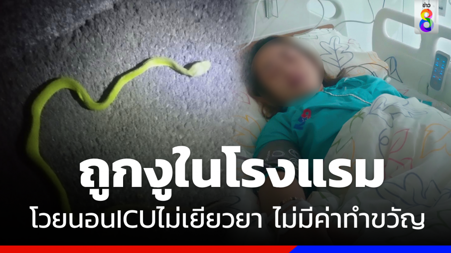 สาวโวย ! ถูกงูเขียวหางไหม้กัดหน้าห้องพักโรงแรม นอน ICU ไม่เยียวยา ไม่มีค่าทำขวัญ 