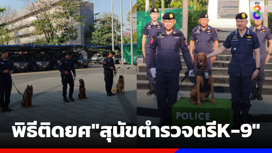 191 จัดพิธีติดยศ "สุนัขตำรวจตรี K-9" ร่วมคลี่คดีดัง "น้องชมพู่-ไอซ์หีบเหล็ก"