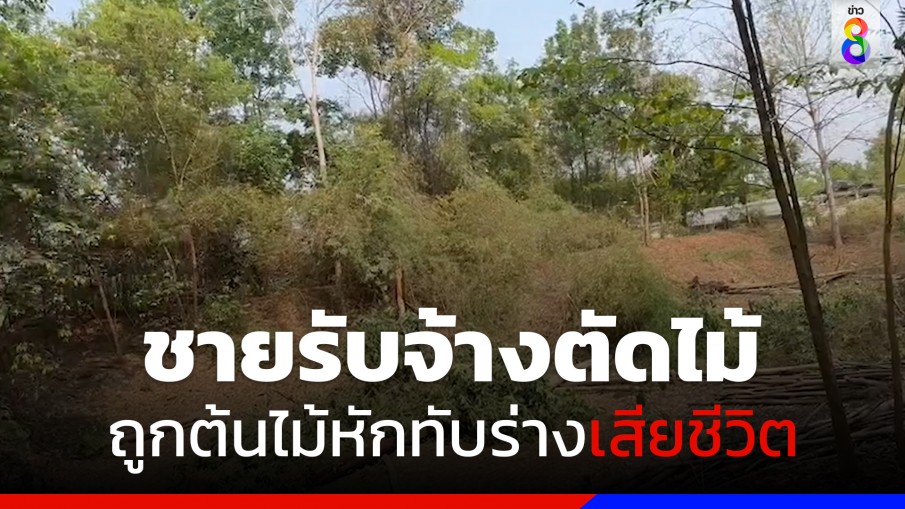  สลด! ชายรับจ้างตัดไม้ถูกต้นไม้ใหญ่หักทับร่างเสียชีวิต