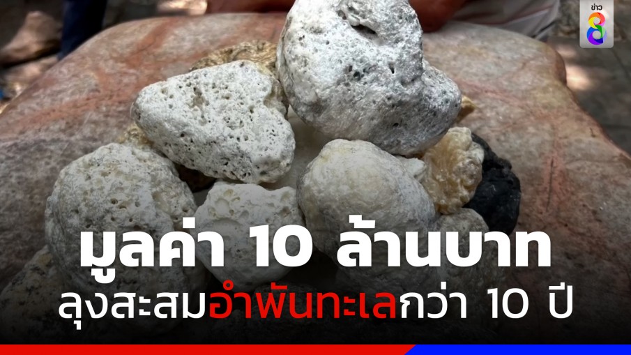 คุณตาวัย 75 ปี สะสมอำพันทะเลนาน 10 ปี มูลค่ากว่า 10 ล้านบาท