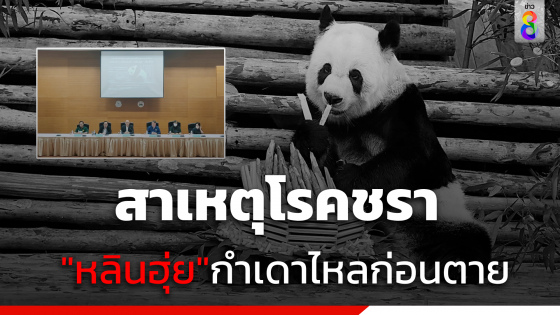 เปิดสาเหตุ "หลินฮุ่ย" ตาย ชี้เป็นเพราะ "โรคชรา"  