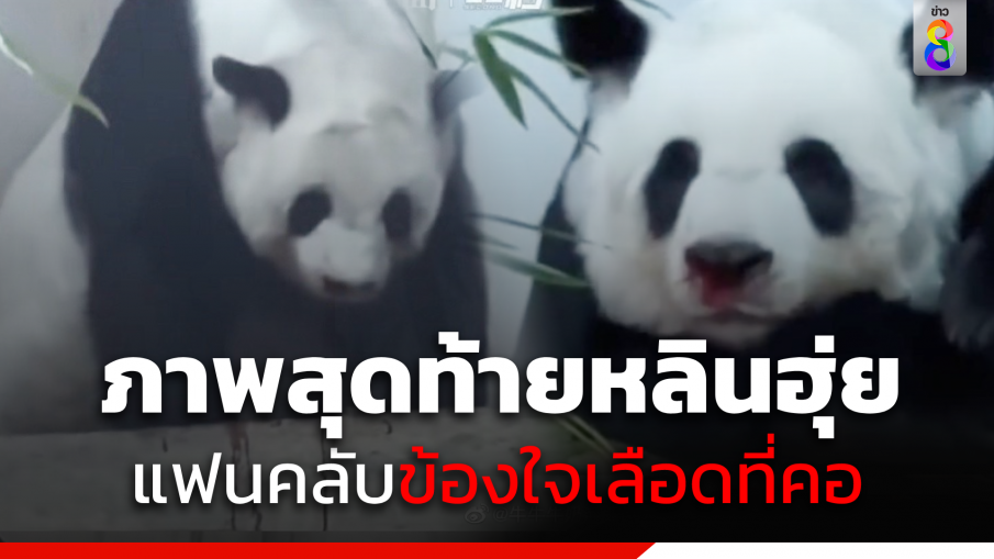 ภาพสุดท้าย "หลินฮุ่ย" แฟนคลับข้องใจเลือดที่คอ