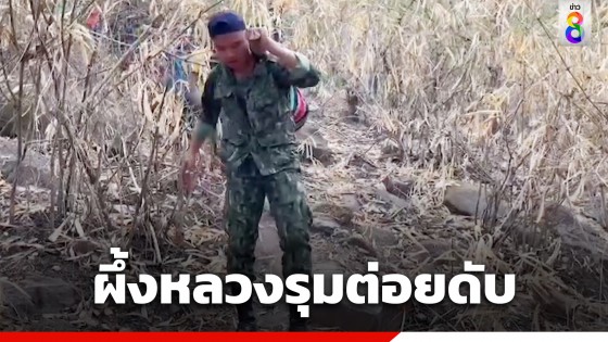 ดับสลด! หนุ่มใหญ่วัย 51 ปี ถูกผึ้งหลวงรุมต่อยบนภูแฝก จ.กาฬสินธุ์