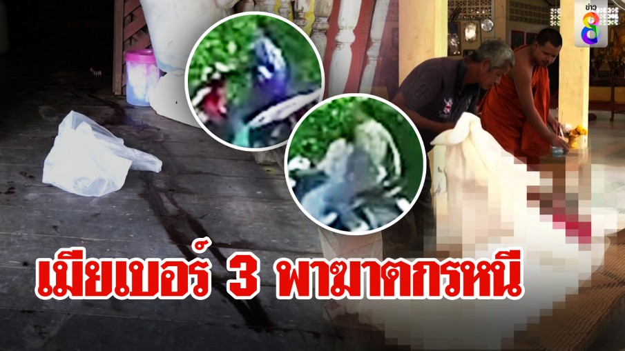 เมียเบอร์ 3 พาฆาตกรหนี