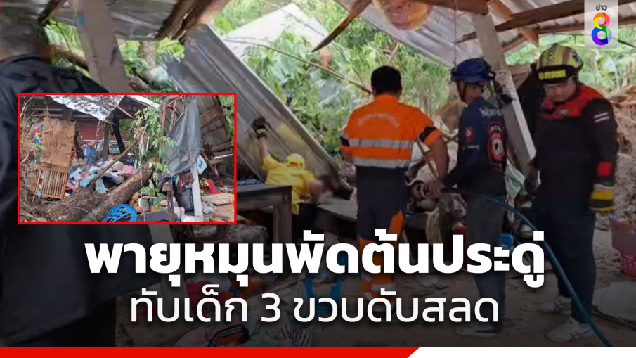 พายุหมุนพัดต้นประดู่ขนาดใหญ่ทับเด็ก 3 ขวบดับสลด