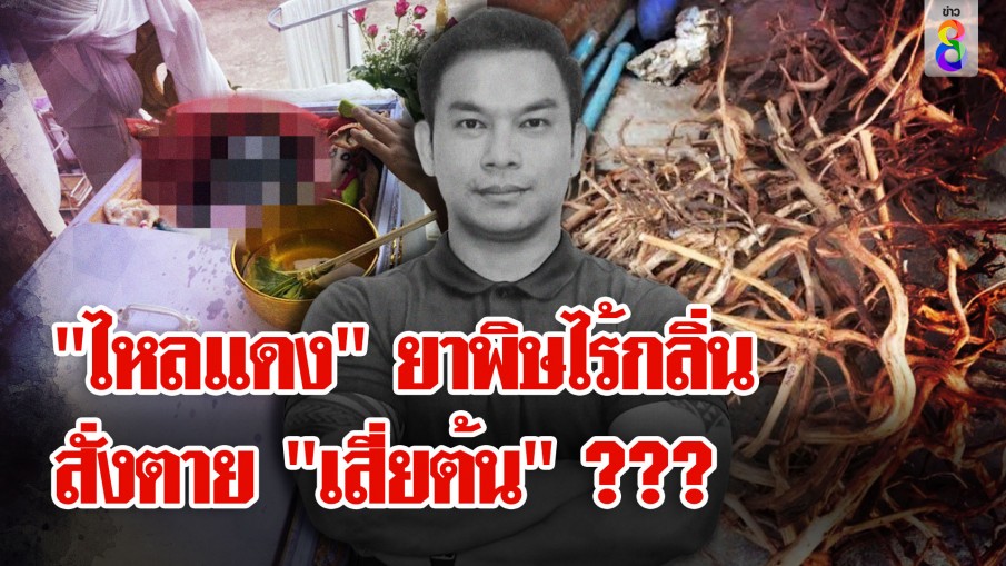 "ต้นไหลแดง" ส่อพลิกคดี "เสี่ยต้น" ตำรวจเผยคดีนี้มีคนร้าย 4 คน 