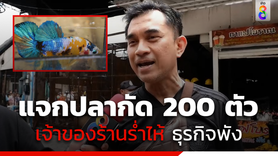 เจ้าของร้านปลากัดน้ำตานอง ไฟไหม้ร้าน ทำปลากัด 2,800 ตัวตาย