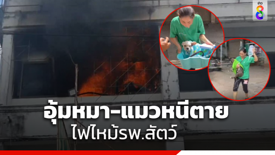 ไฟไหม้ รพ.สัตว์อุดรฯ เจ้าหน้าที่อุ้มหมา-แมว วิ่งหนีตาย