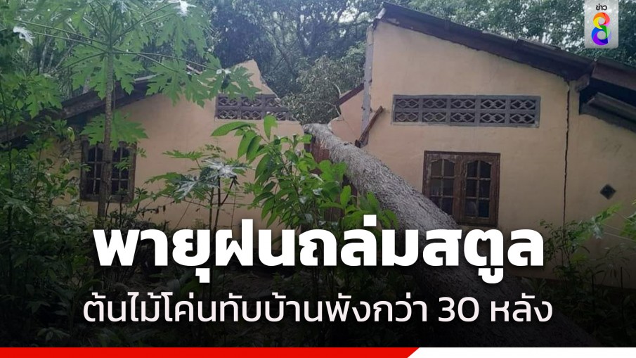 ฝนถล่มสตูล! พายุพัดต้นไม้ล้มขวางถนน-ทับบ้านพังเสียหายกว่า 30 หลังคาเรือน