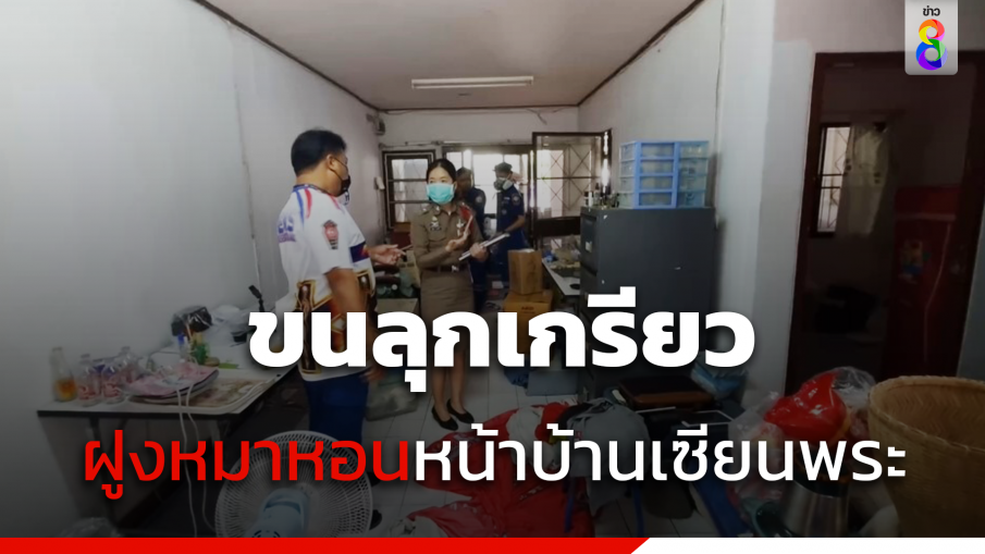 ขนลุกเกรียว! ฝูงหมาหอนหน้าบ้านเซียนพระ