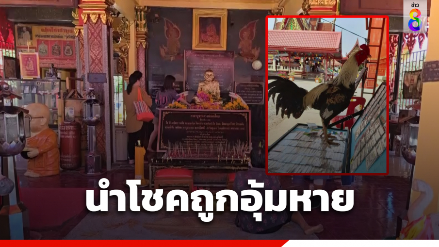 "นำโชค" ไก่แก้บนหลวงพ่อเคลือบ ถูกมือดีอุ้มหาย