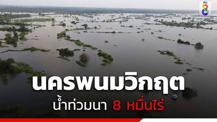 นครพนมวิกฤต น้ำโขงหนุนสูงเกือบ 12 เมตร ท่วมนาข้าว-พื้นที่เลี้ยงสัตว์ 8 หมื่นไร่