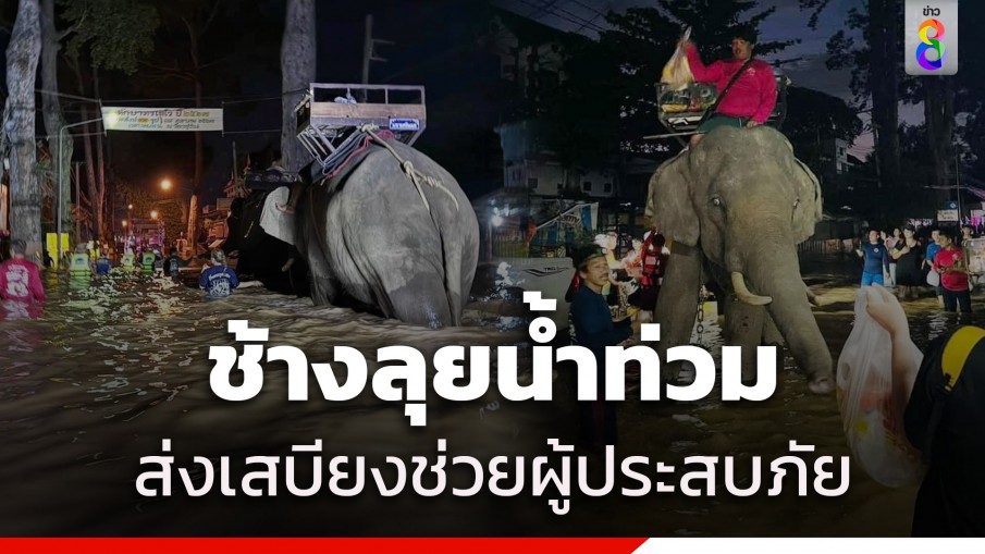 "พระครูอ๊อด" วัดเจดีย์หลวง นำช้างขนเสบียงลุยน้ำท่วม ช่วยเหลือผู้ประสบภัยที่อำเภอสารภี จังหวัดเชียงใหม่