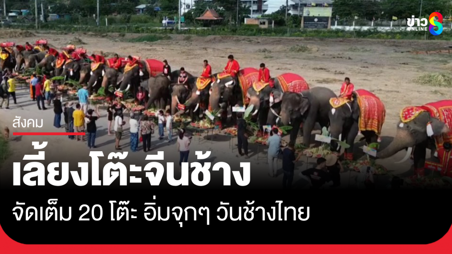 วังช้างอยุธยาจัดทำบุญใหญ่ 13 มีนาคม วันช้างไทย พร้อมจัดใหญ่เลี้ยงโต๊ะจีนช้าง