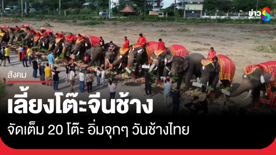 วังช้างอยุธยาจัดทำบุญใหญ่ 13 มีนาคม วันช้างไทย...