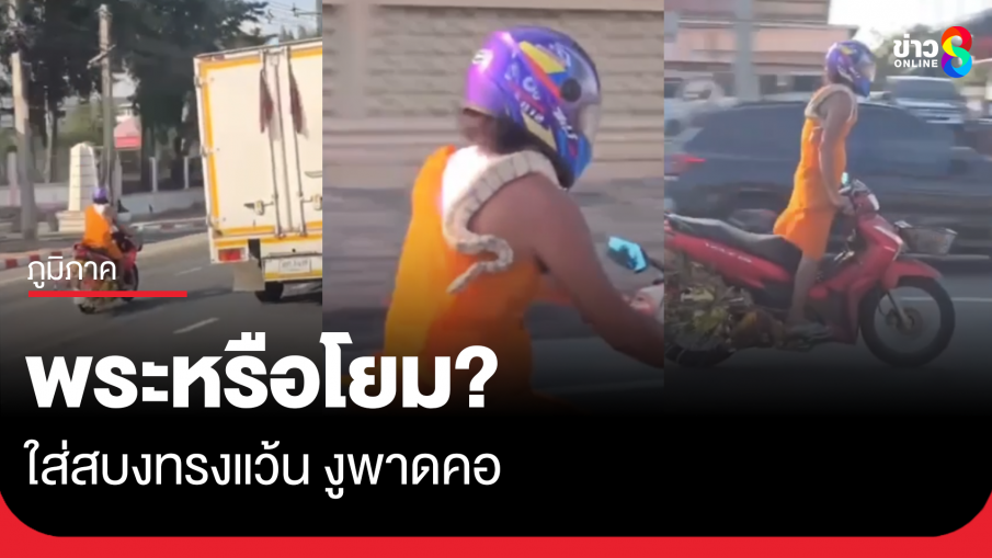 พระหรือโยม? ใส่สบงทรงแว้น งูพาดคอ